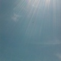 June in Lexington